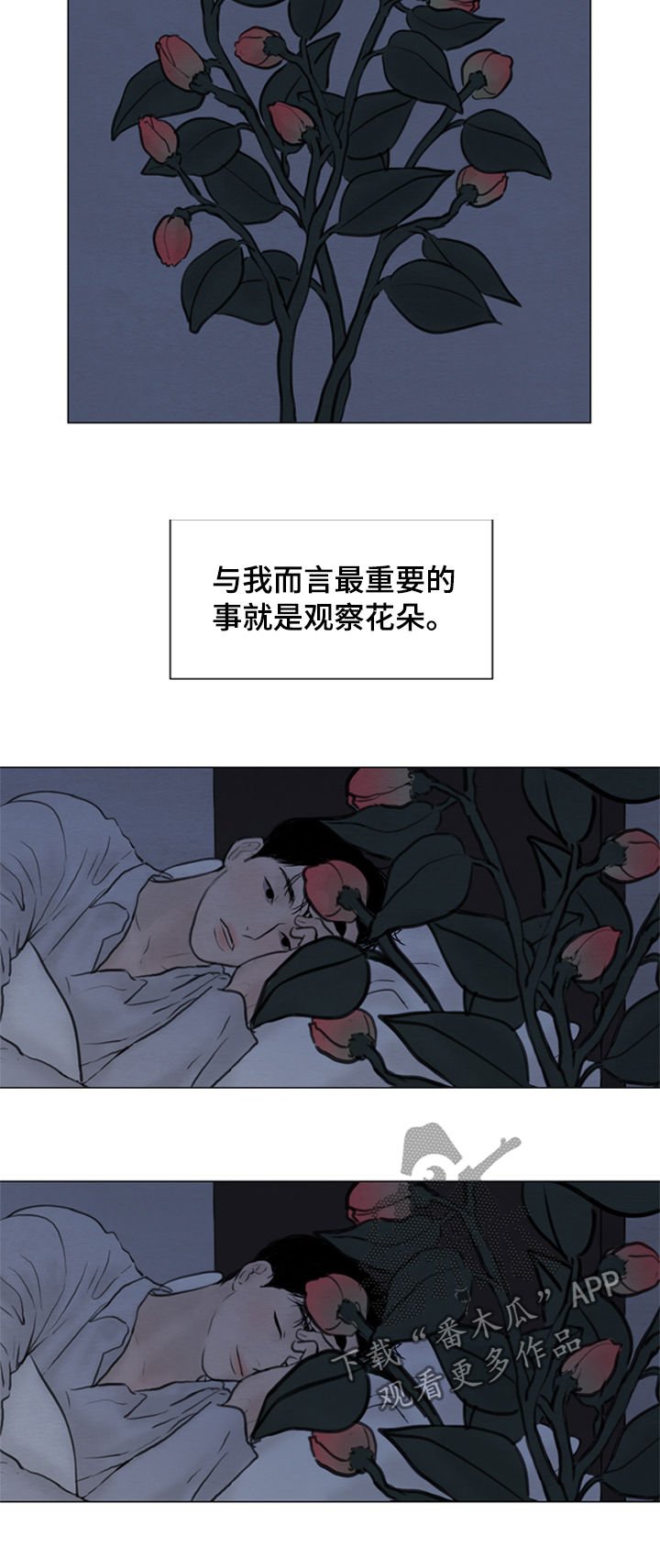 第104章：【第二季】花朵绽放