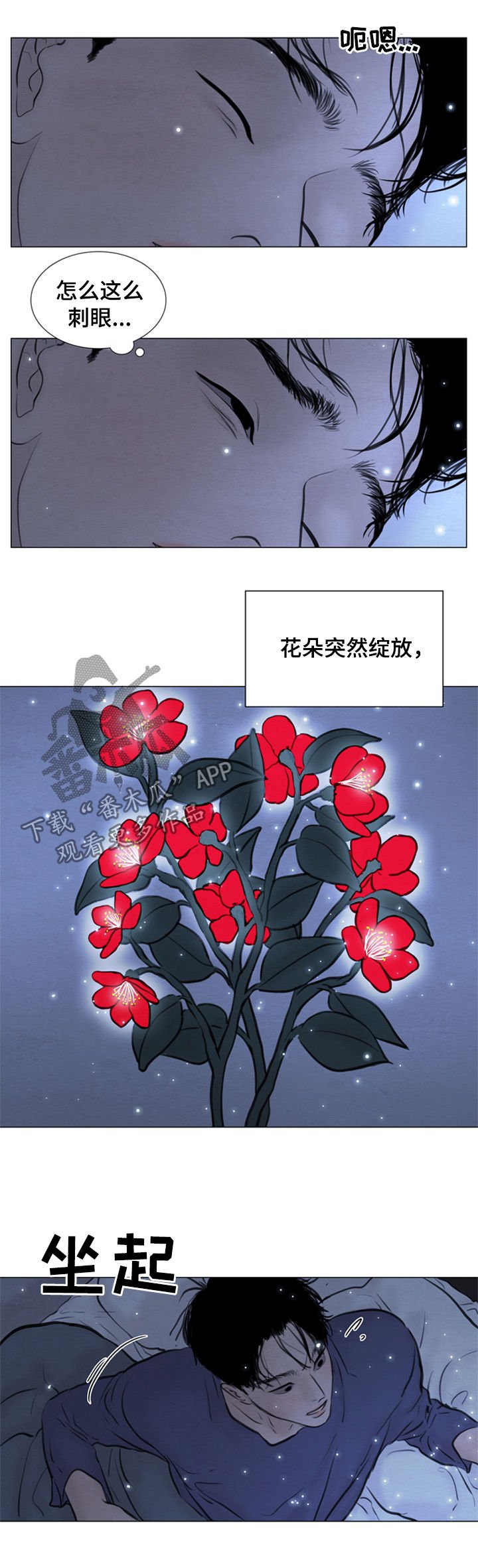 第104章：【第二季】花朵绽放
