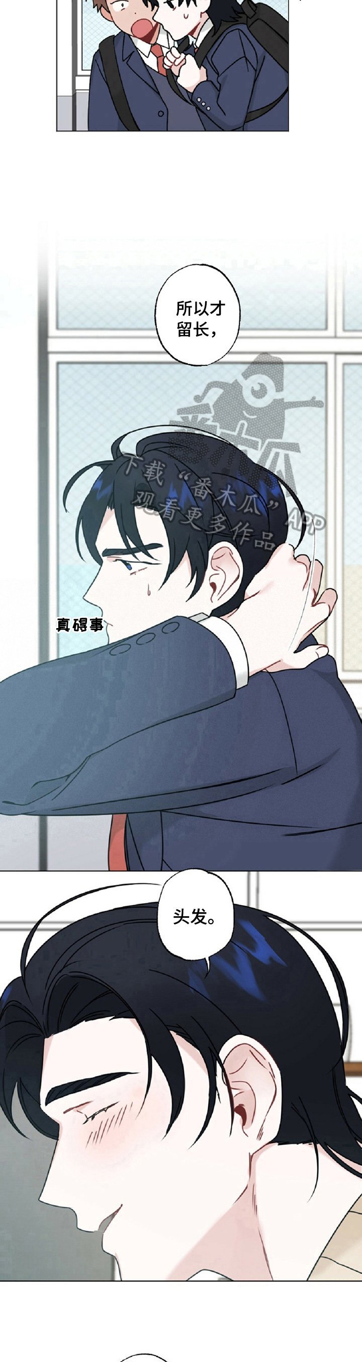 第14章：缘由