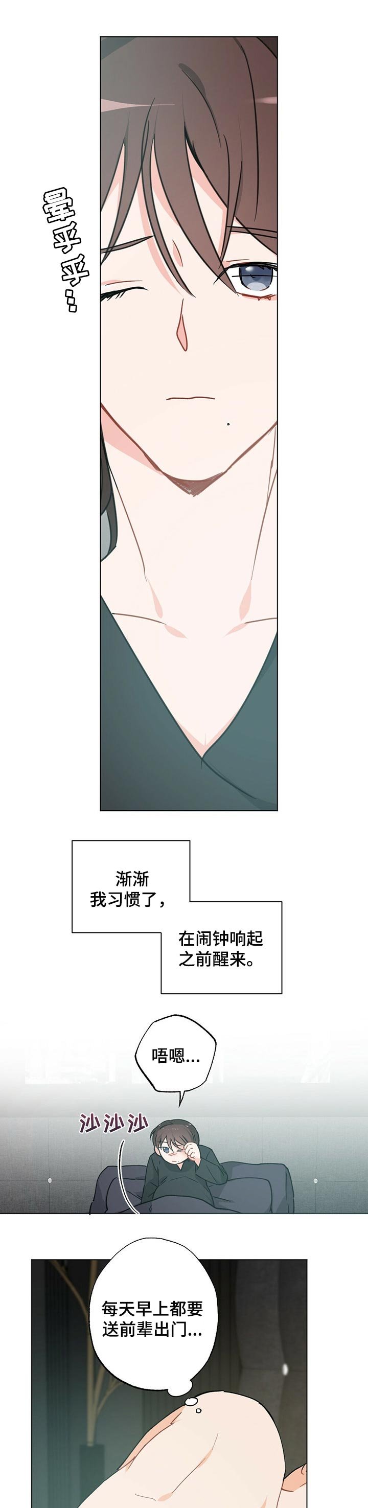 第36章：【故事三】怀孕后的日常