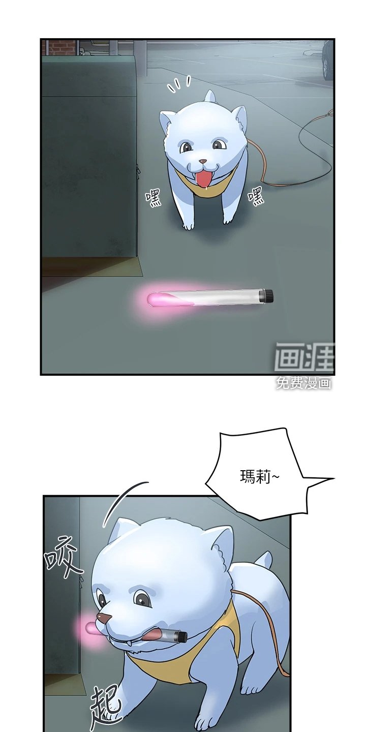 第39章：【完结】不再需要了