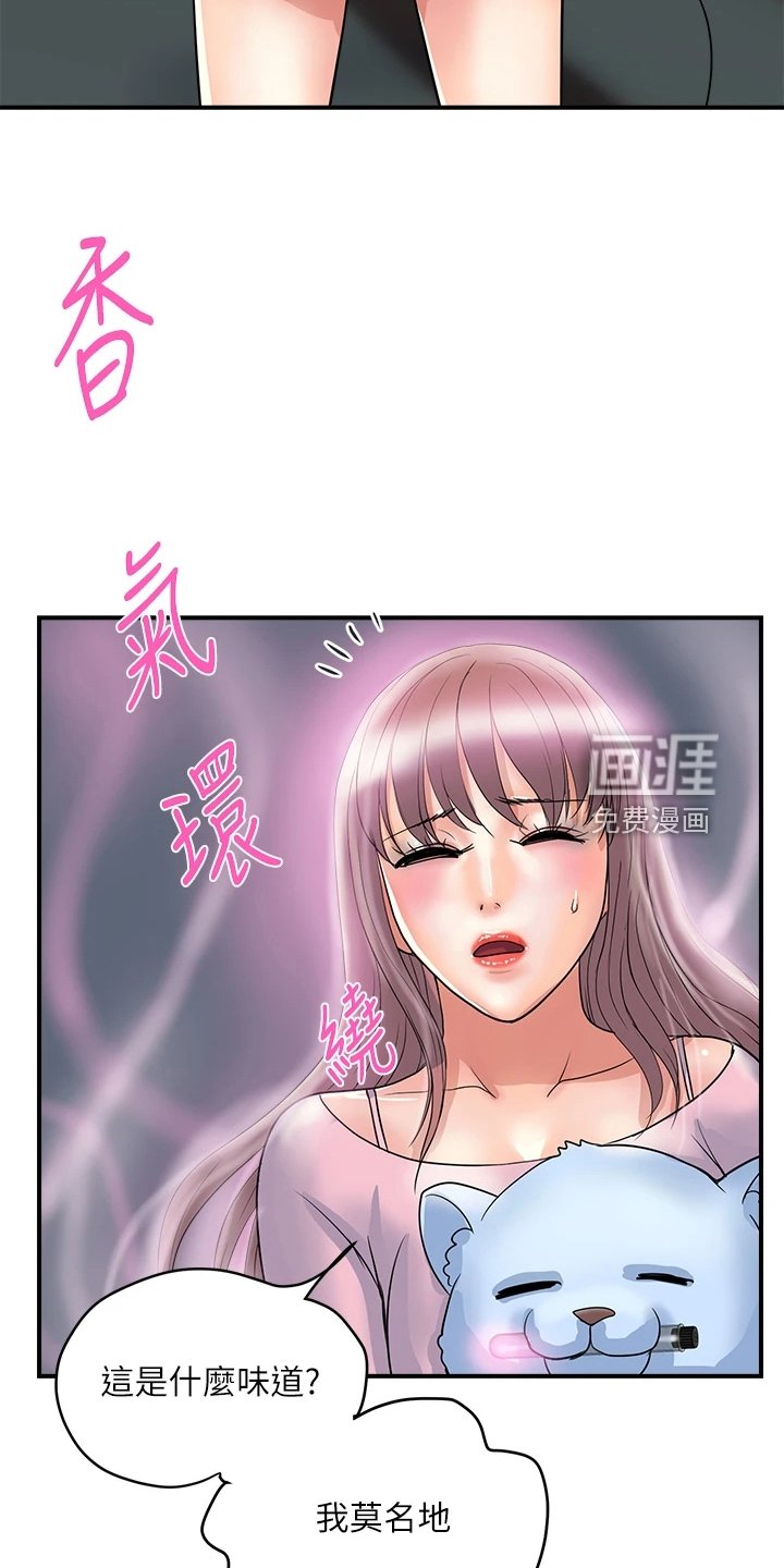 第39章：【完结】不再需要了
