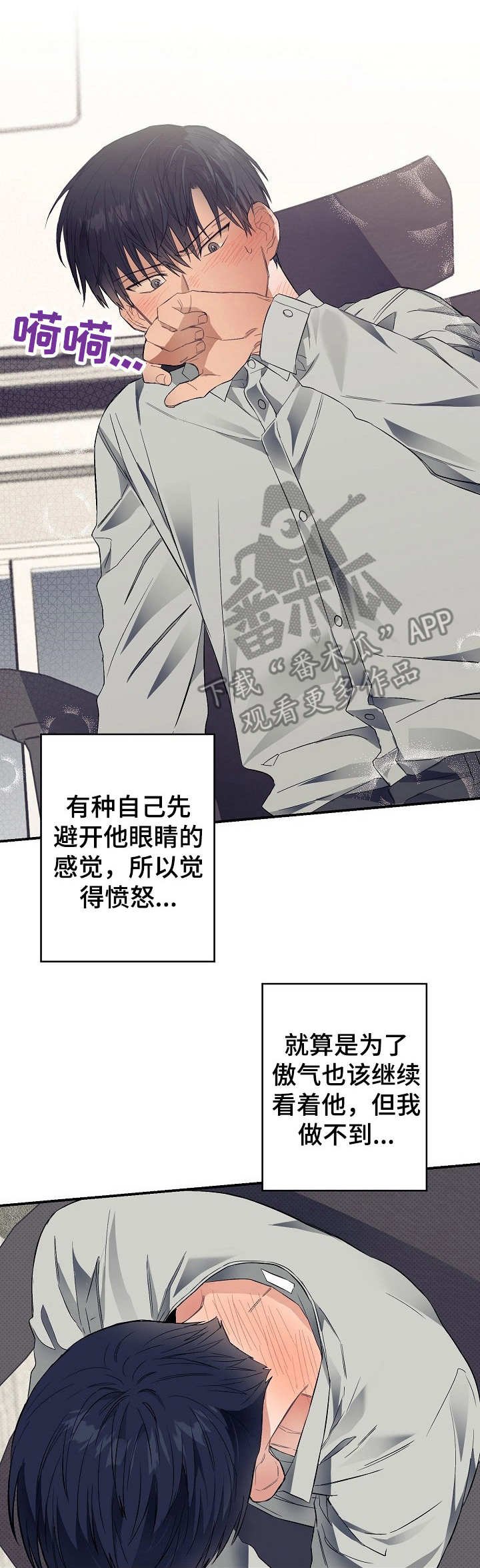 第24章：错觉