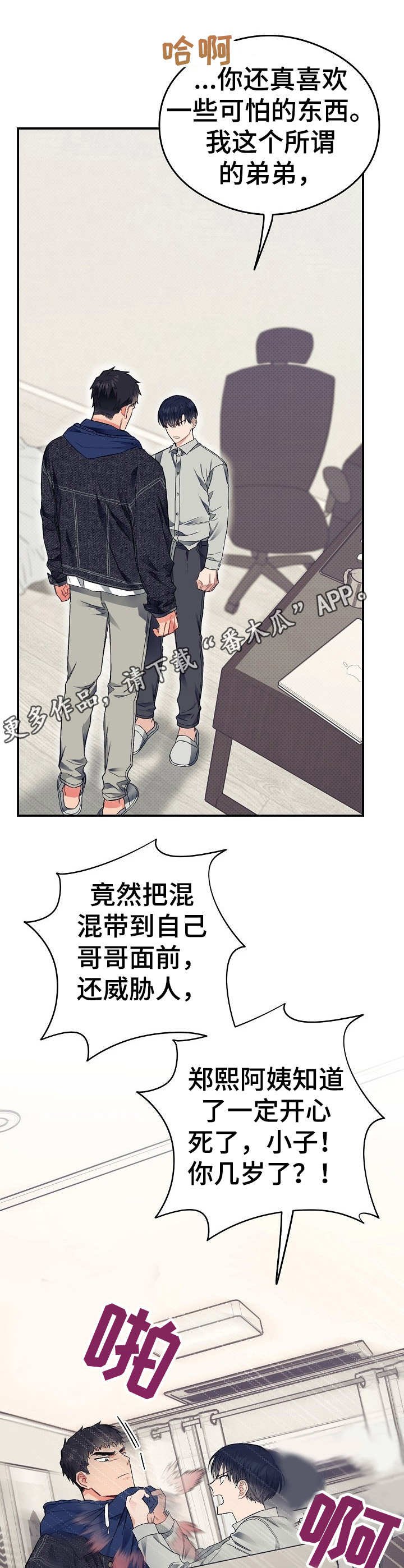 第24章：错觉