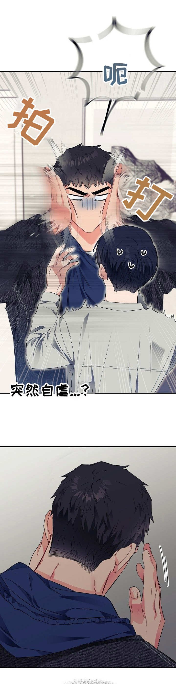 第24章：错觉