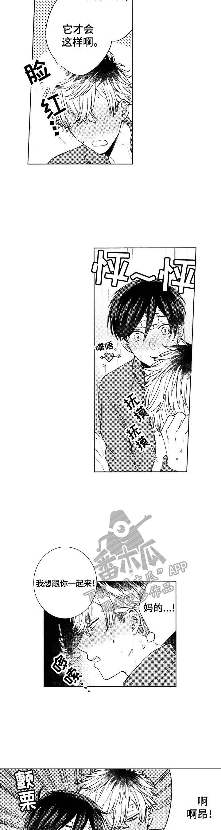 第12章：无法回答的问题