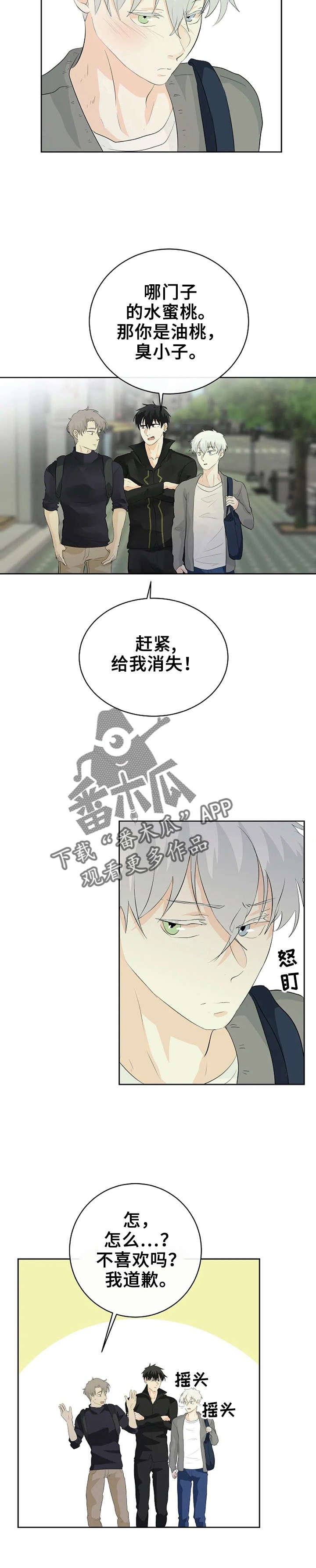 第13章：又被无视