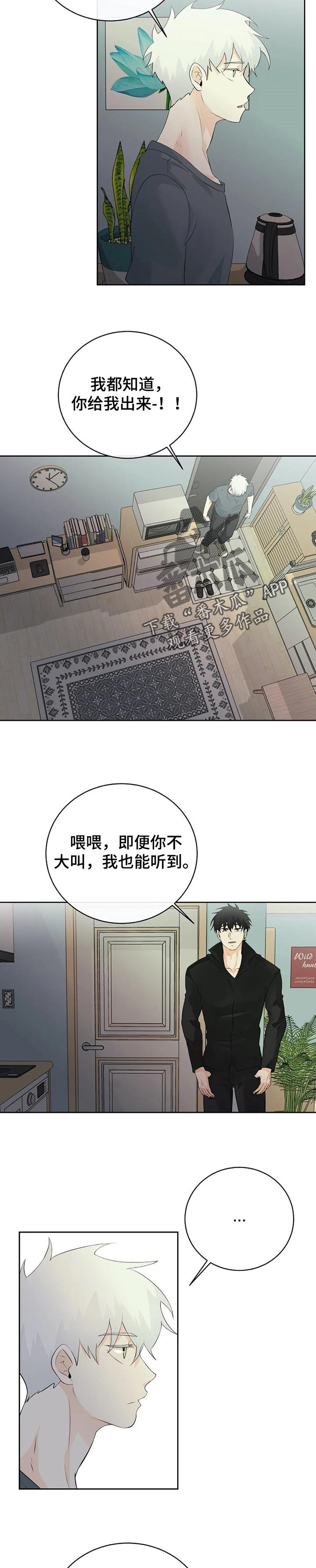 第22章：消失的办法