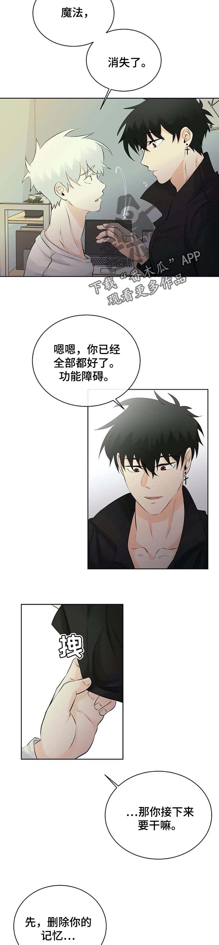 第25章：幻觉