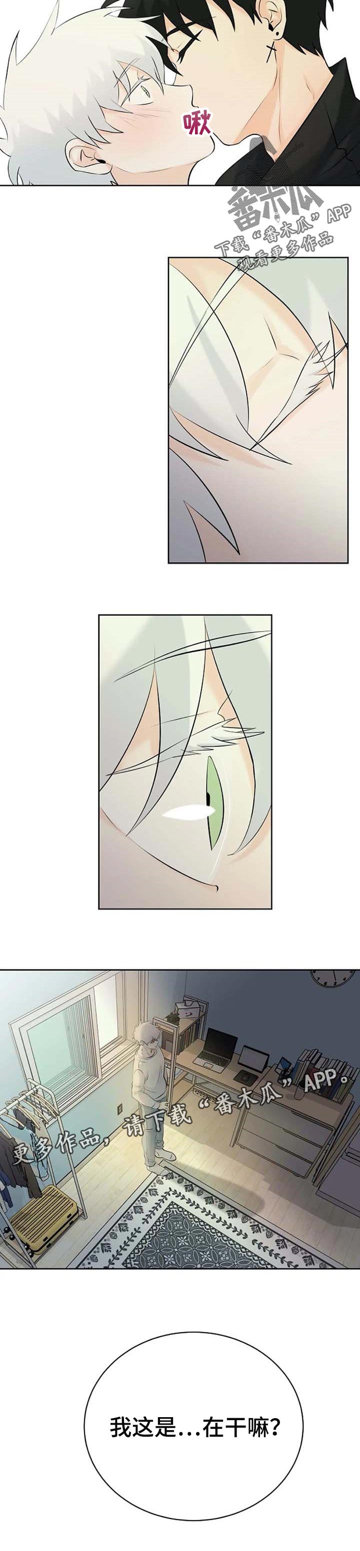 第25章：幻觉