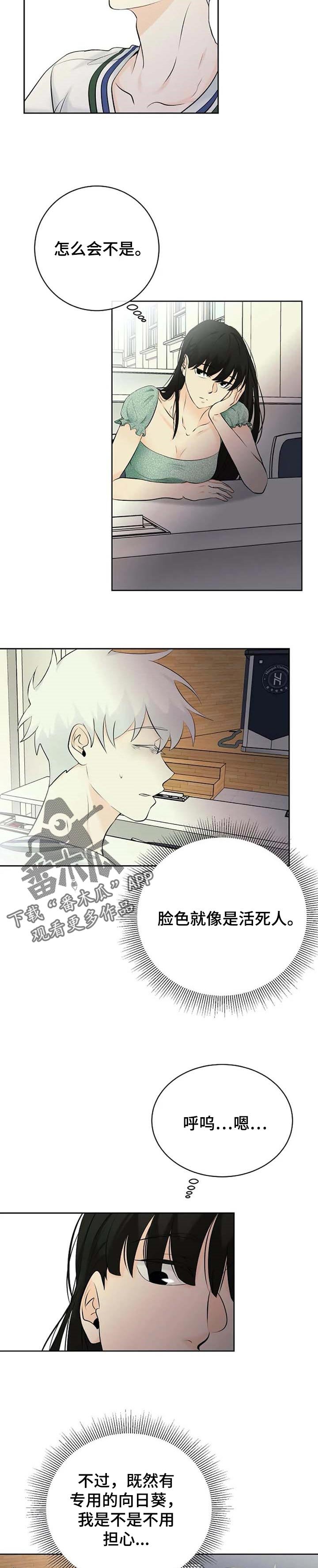 第28章：晕倒