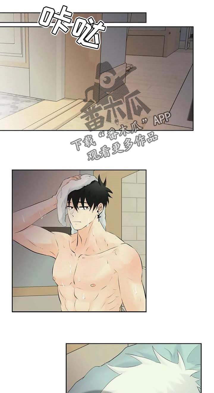 第38章：特点符合
