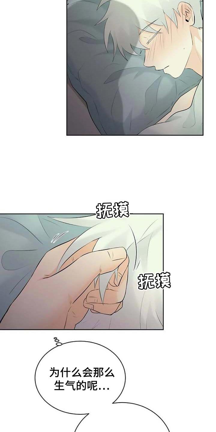 第38章：特点符合