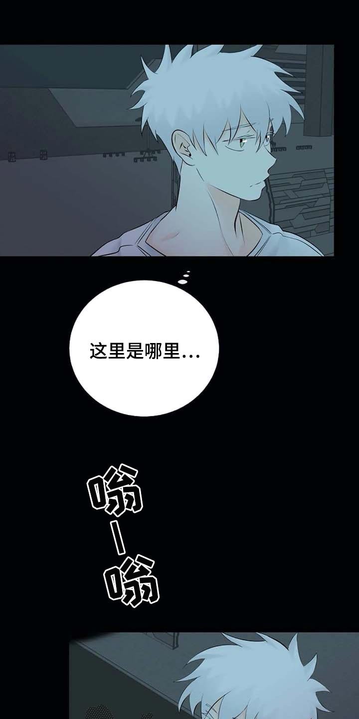第38章：特点符合