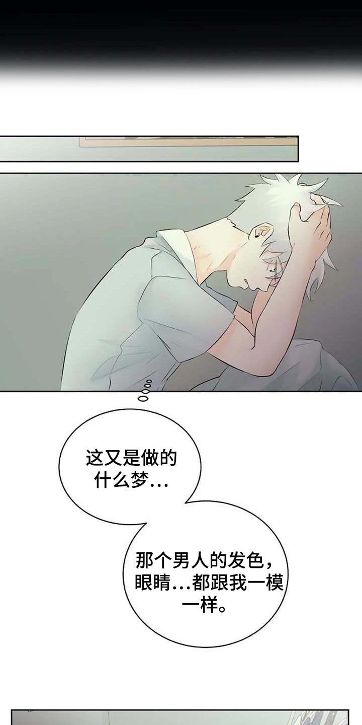 第38章：特点符合