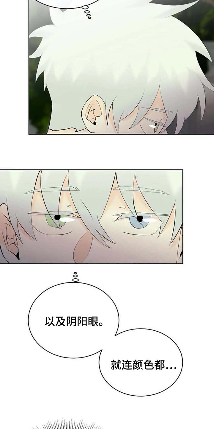 第38章：特点符合
