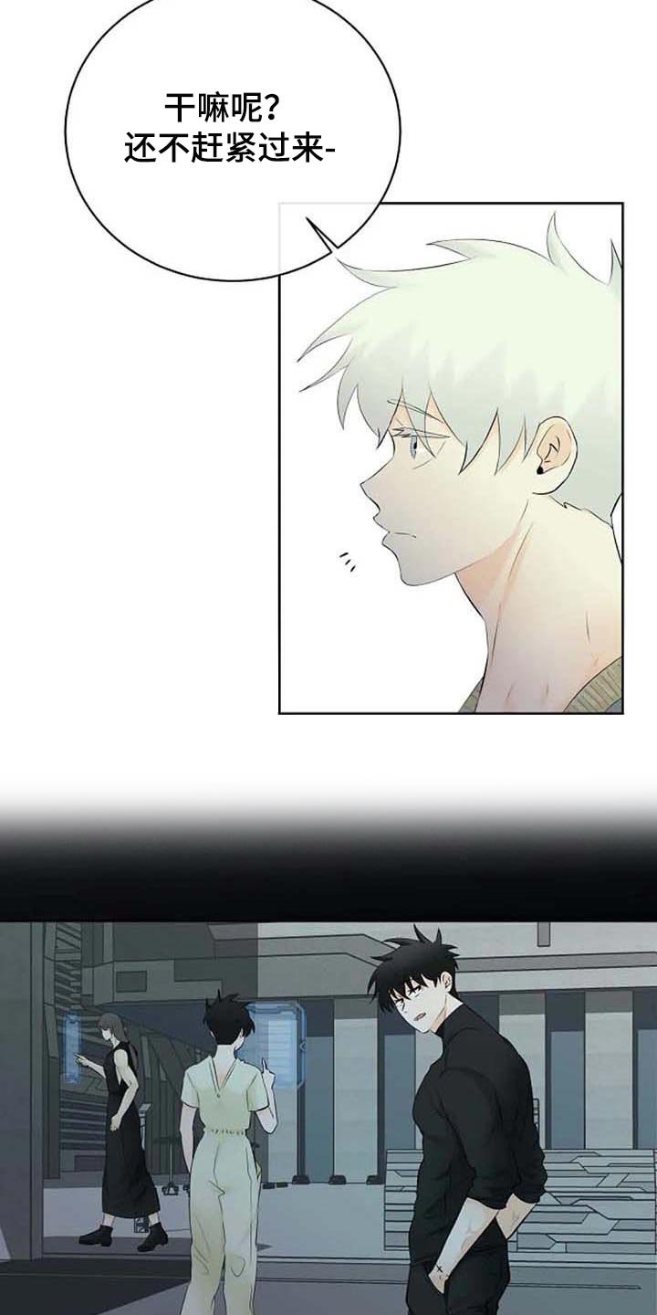 第39章：拜托
