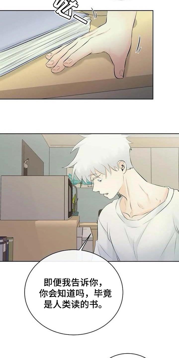第40章：存在的理由