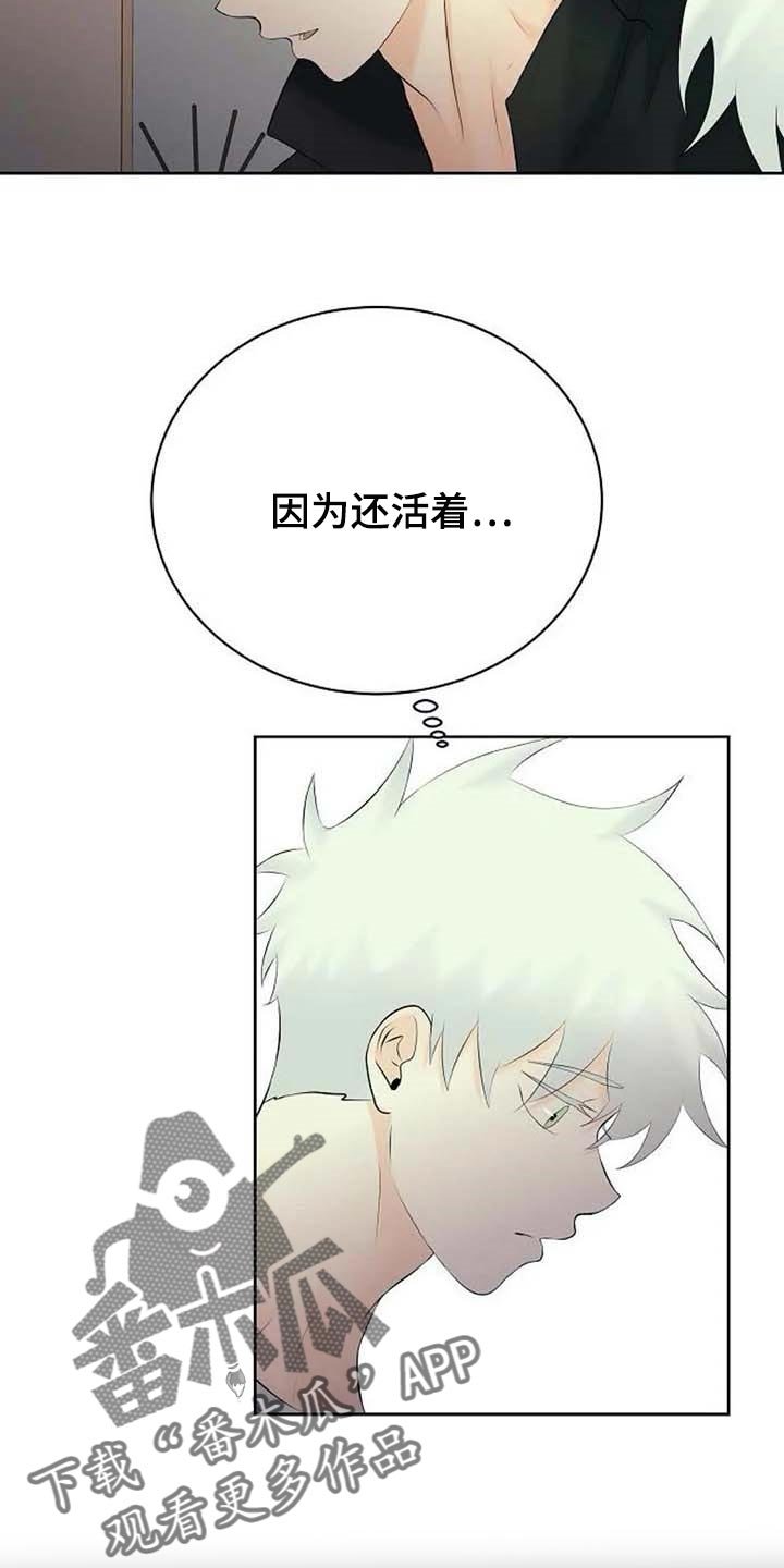 第40章：存在的理由