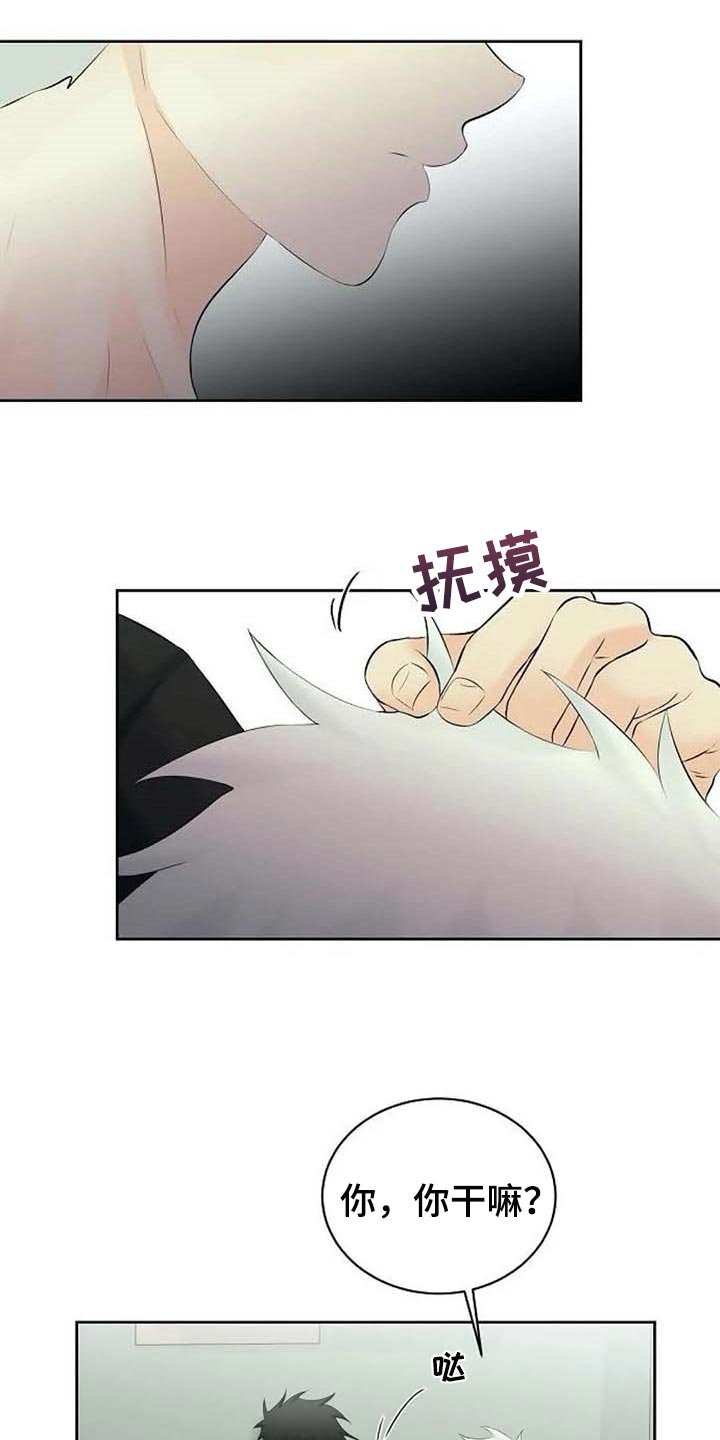 第40章：存在的理由