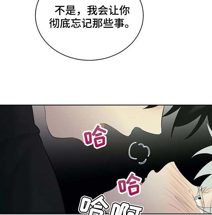 第40章：存在的理由