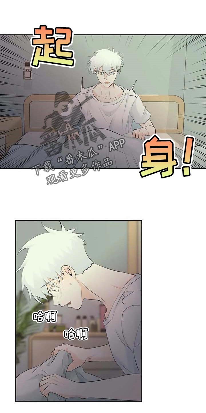 第42章：错误的回忆