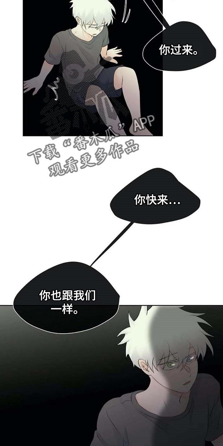 第42章：错误的回忆