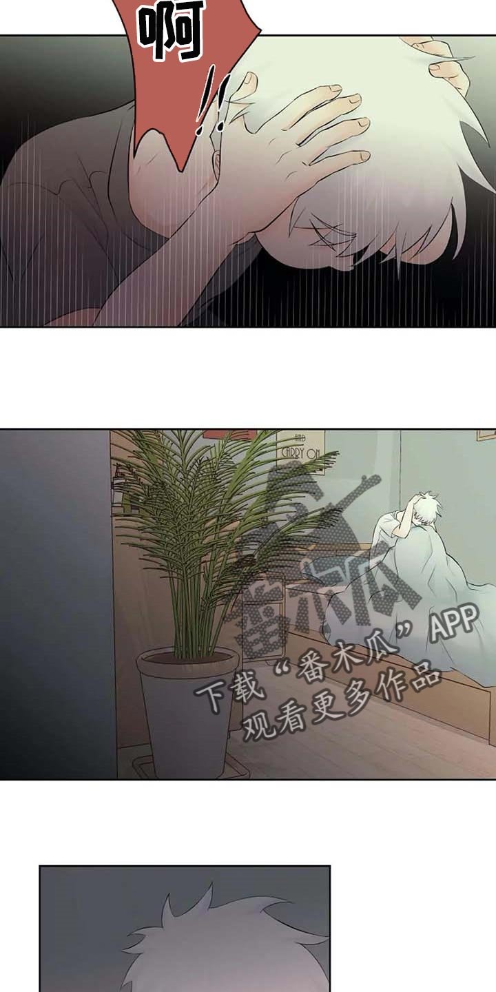 第42章：错误的回忆