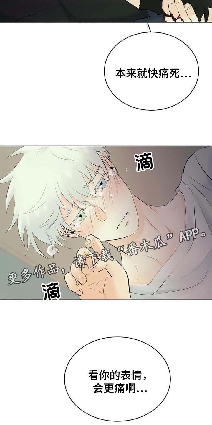 第43章：受伤