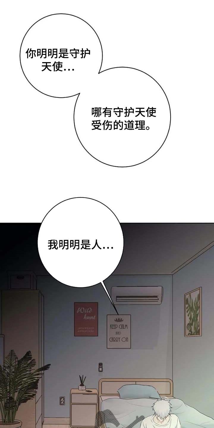 第44章：自编自导