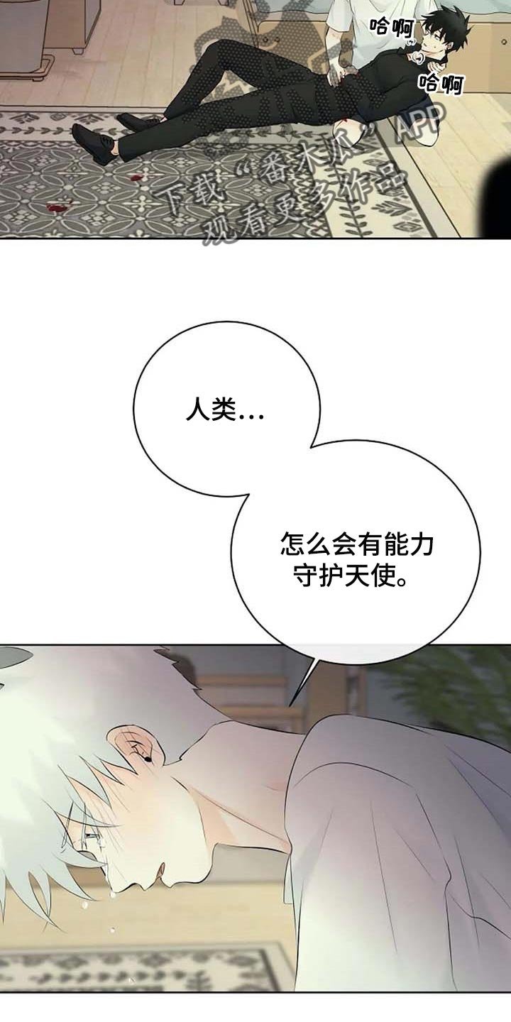 第44章：自编自导
