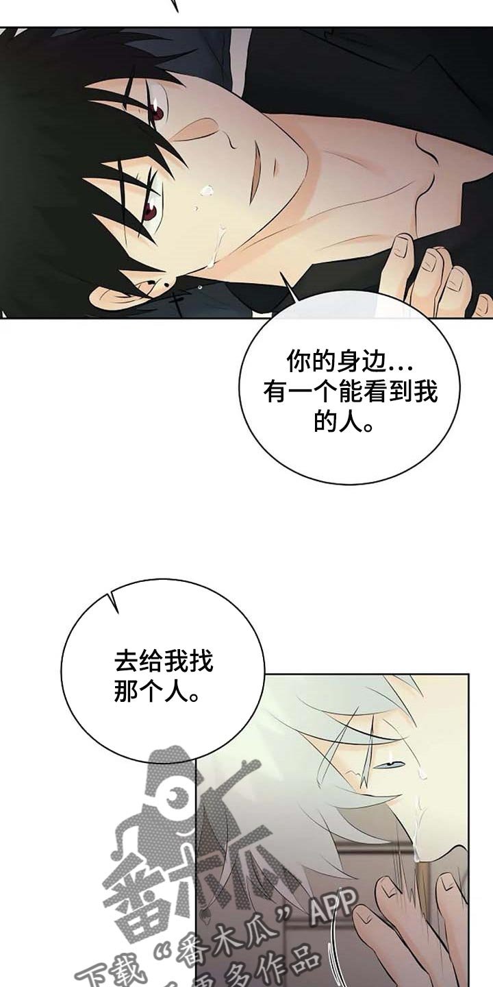 第44章：自编自导
