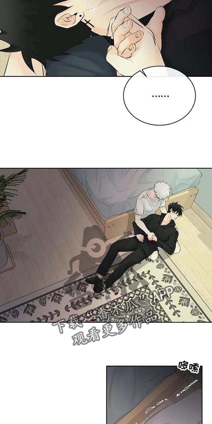 第44章：自编自导