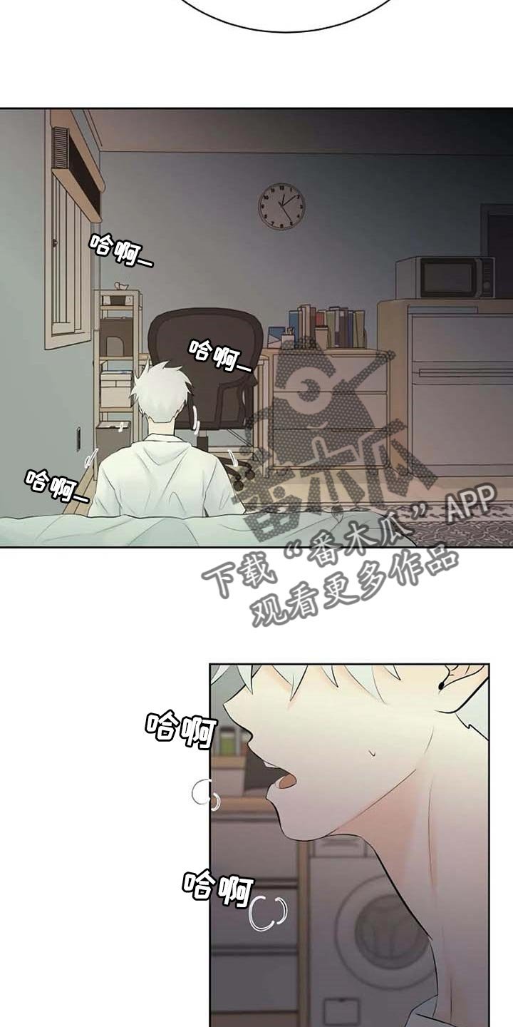 第44章：自编自导