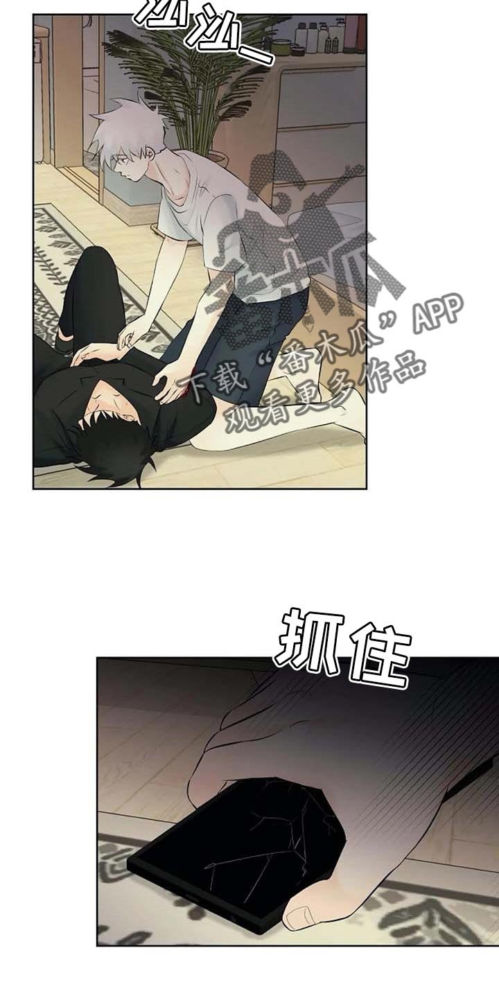 第44章：自编自导