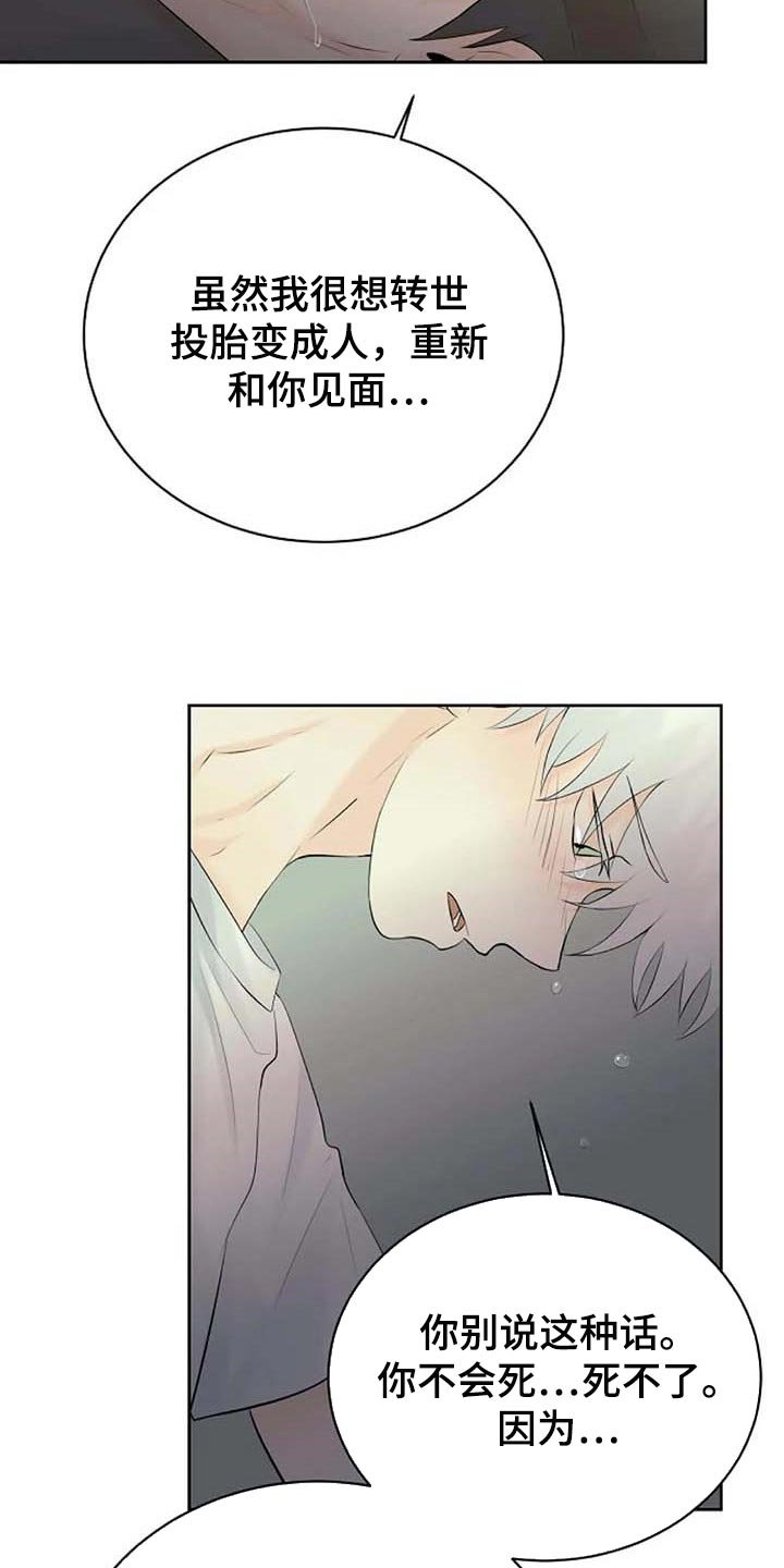 第46章：治疗