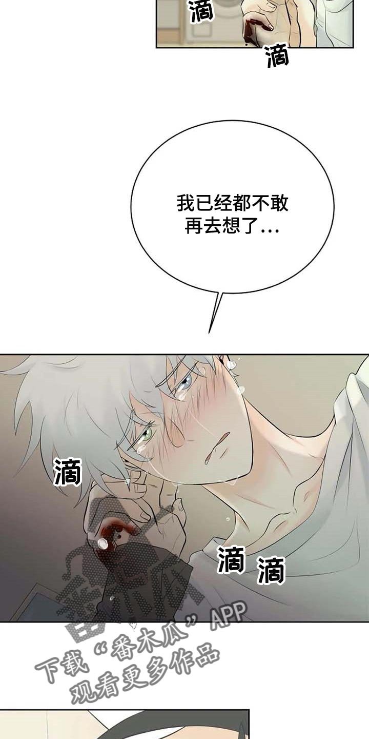 第46章：治疗