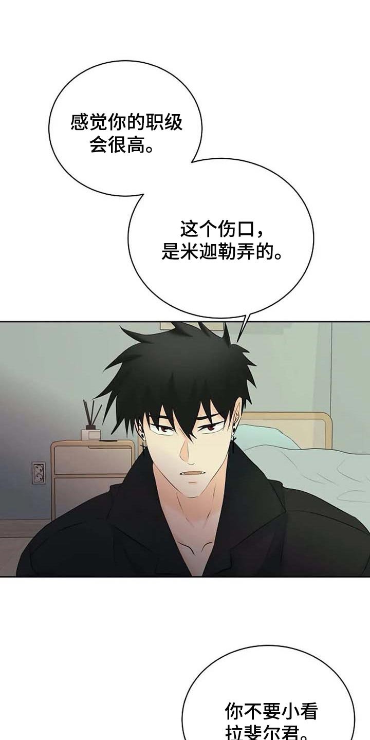 第47章：解释