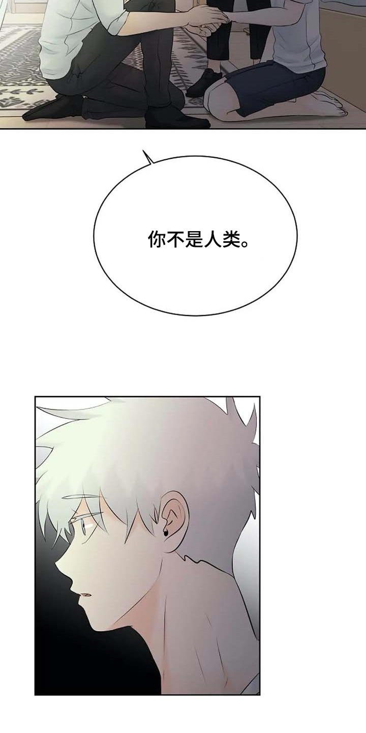 第47章：解释