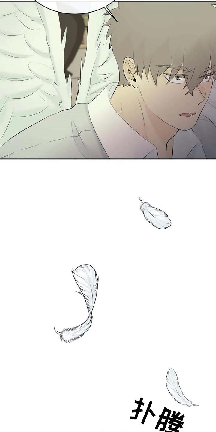 第49章：天界的魔法学校