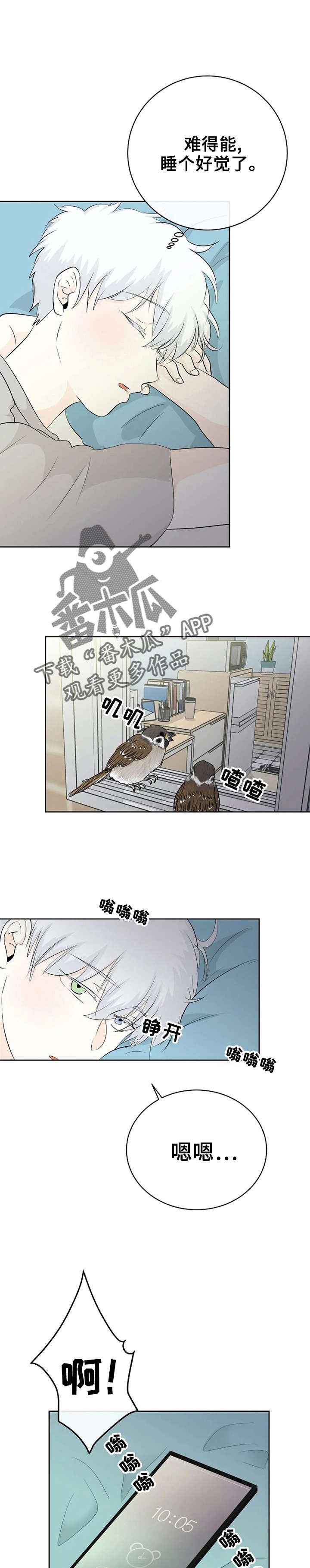 第5章：好漂亮