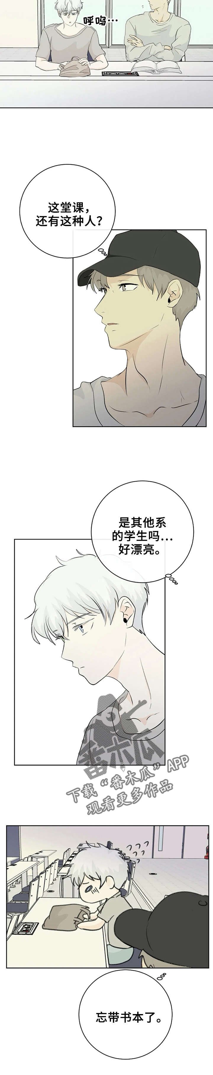 第5章：好漂亮