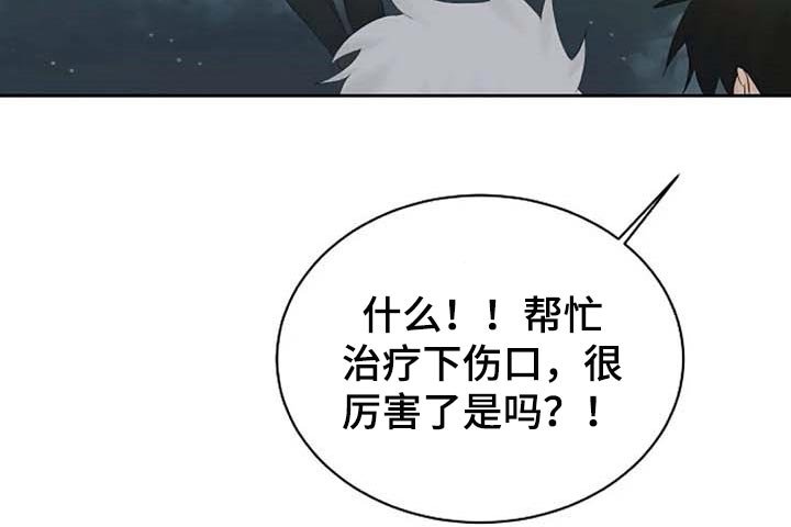第50章：我的命在你手上