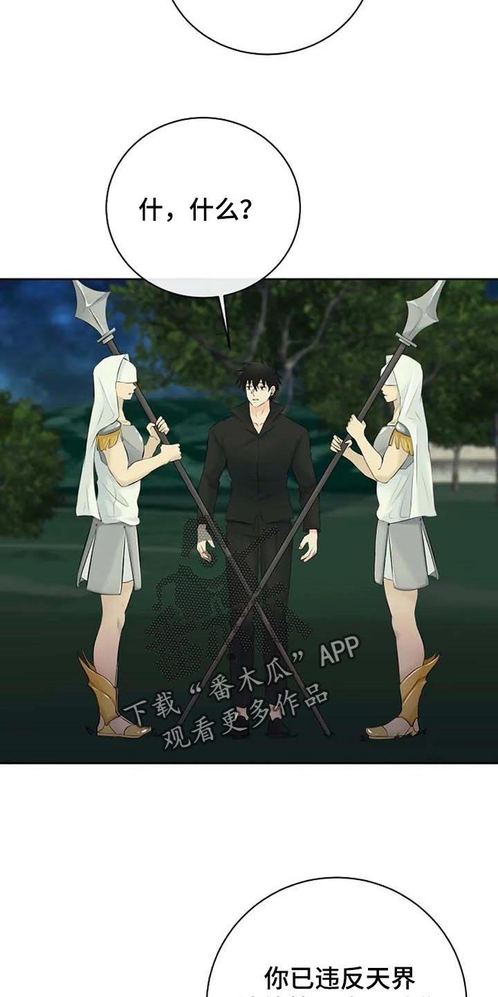 第51章：逮捕