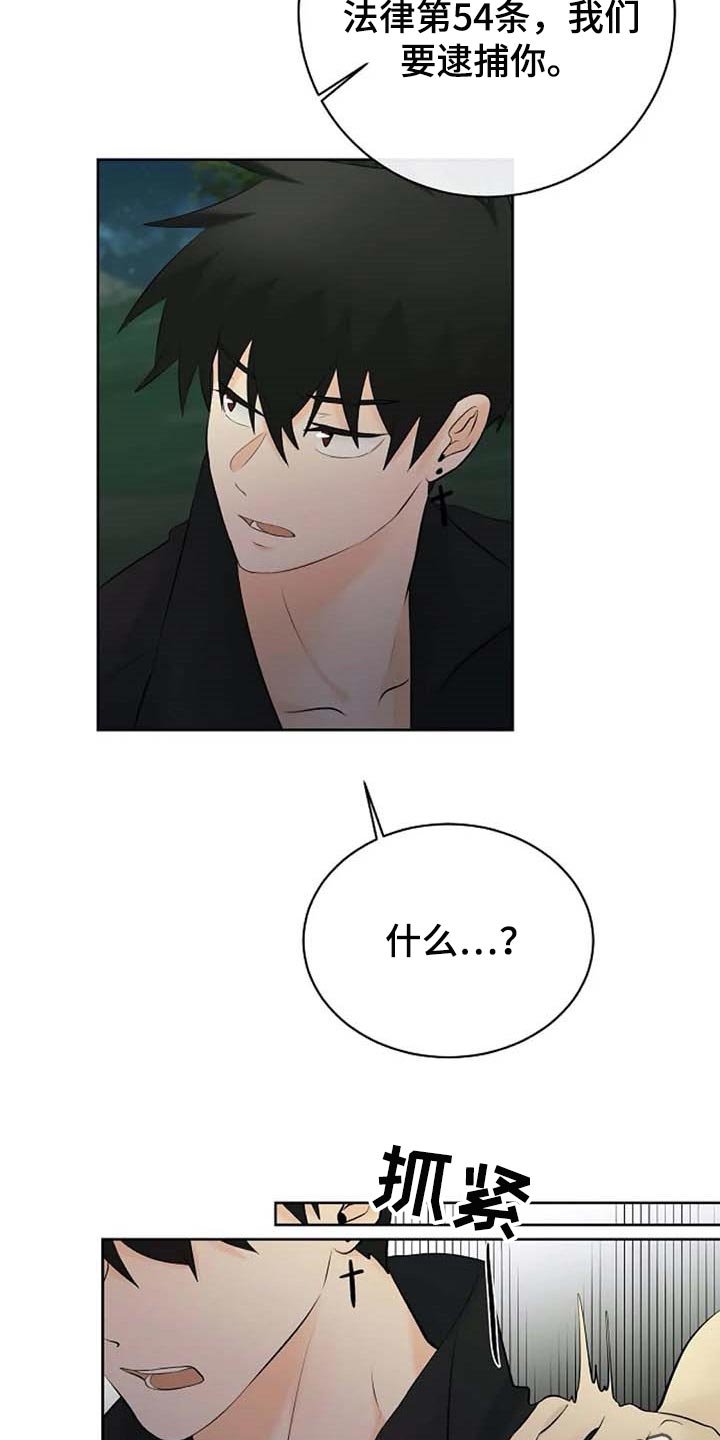 第51章：逮捕