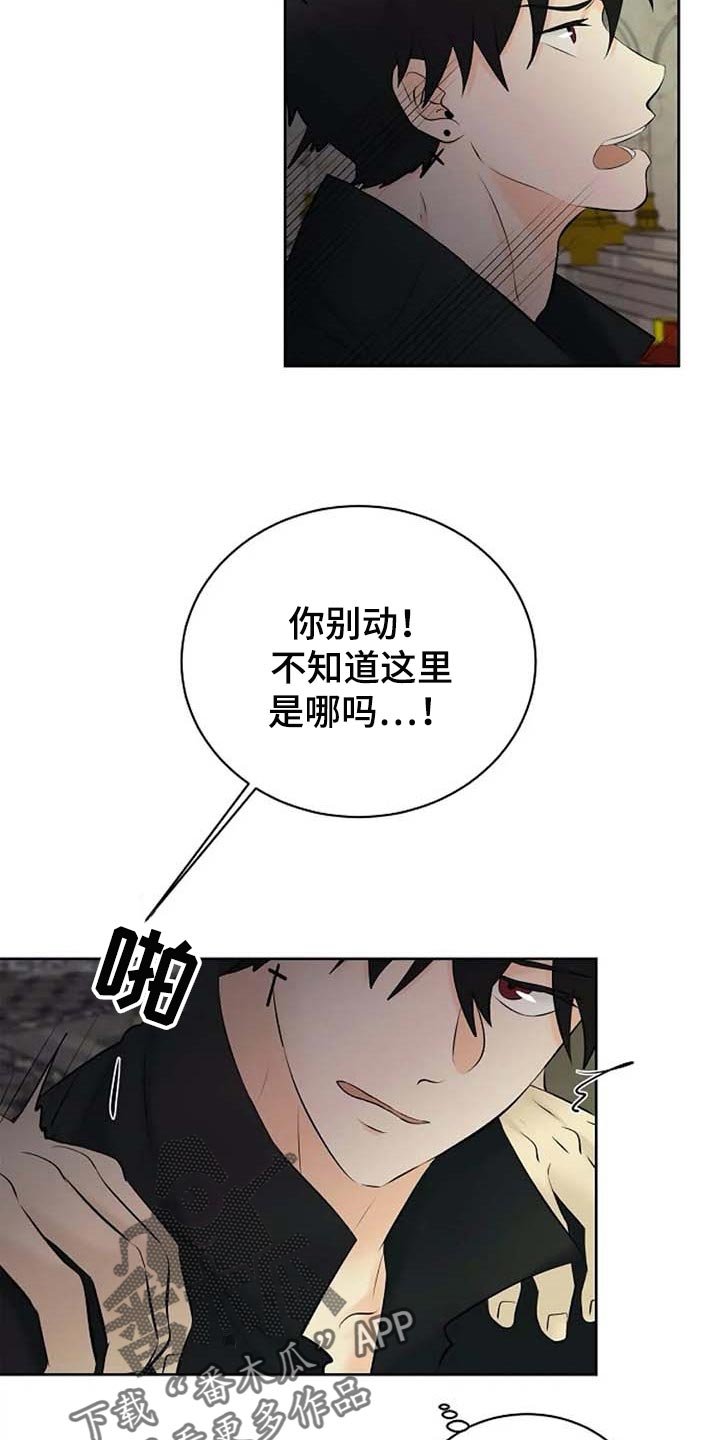 第52章：偏方