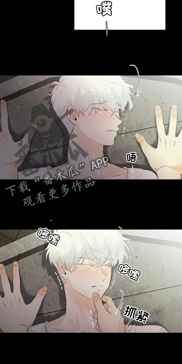 第58章：潜力