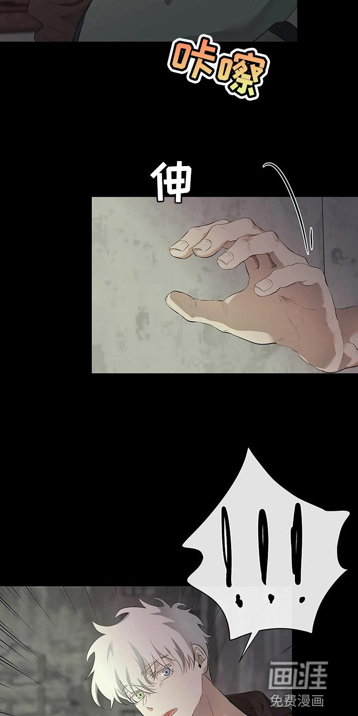 第70章：我们该走的路
