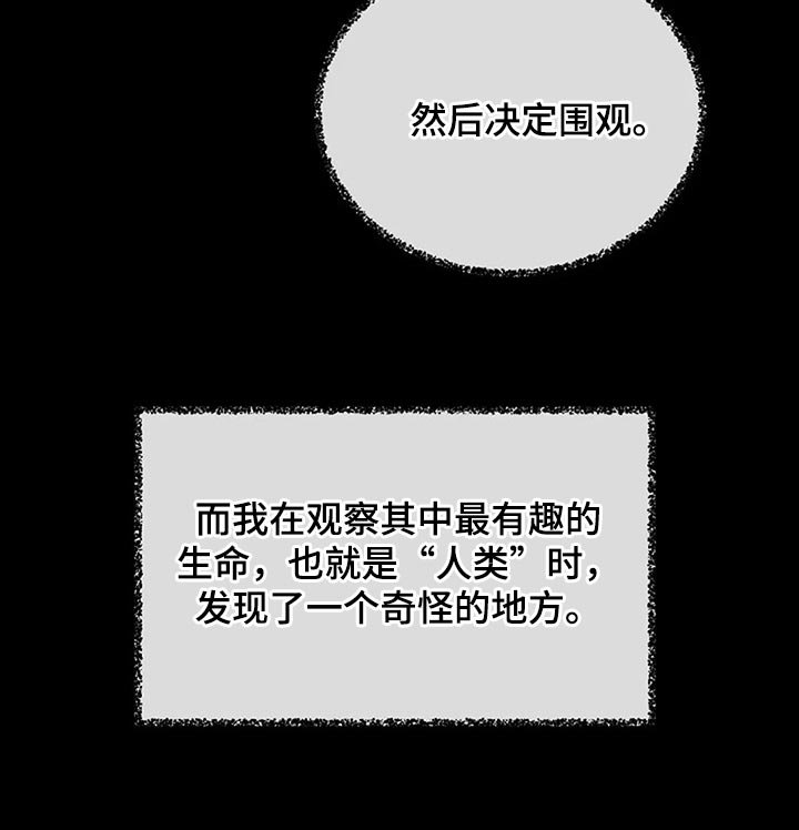 第77章：奇怪的地方