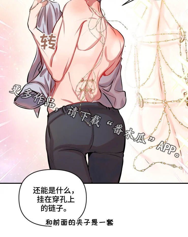 第37章：特别的东西
